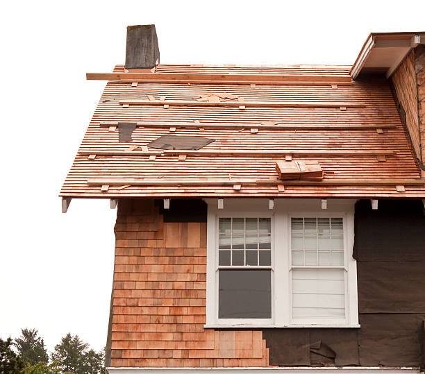 Best Siding Replacement  in Langhorne, PA